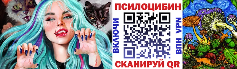 где купить наркоту  Агрыз  Псилоцибиновые грибы Magic Shrooms 